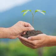 World Environment Day 2025: The Role of Copper in Building