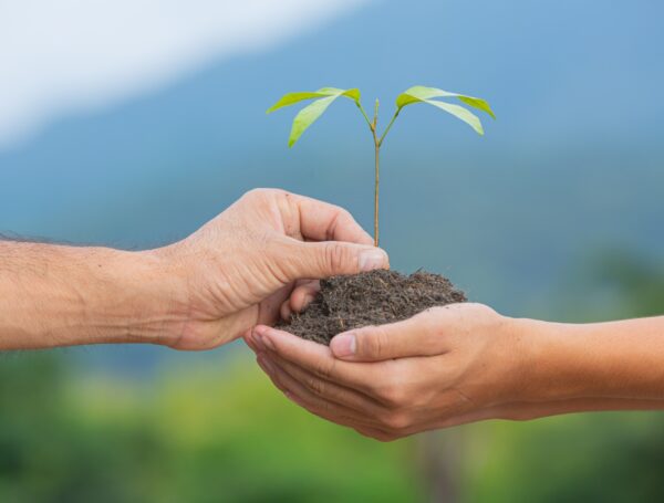 World Environment Day 2025: Copper — The Silent Enabler of a Sustainable Future