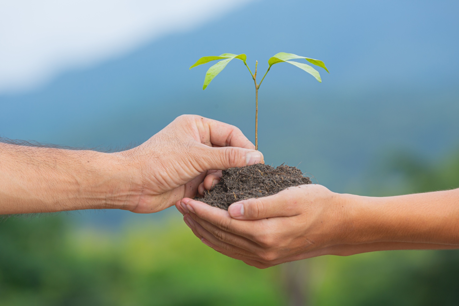 World Environment Day 2025: The Role of Copper in Building